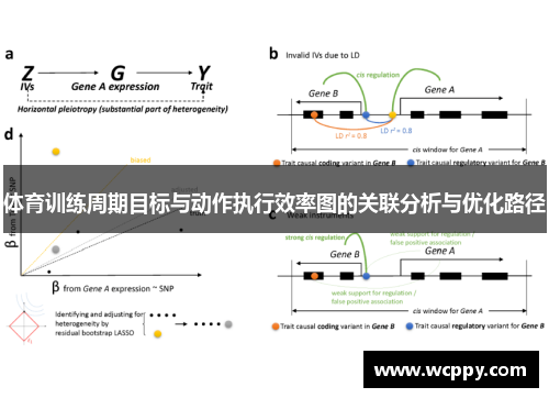 体育训练周期目标与动作执行效率图的关联分析与优化路径