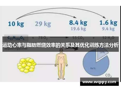 运动心率与脂肪燃烧效率的关系及其优化训练方法分析
